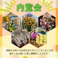 画像274