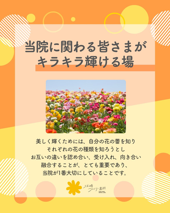 画像284
