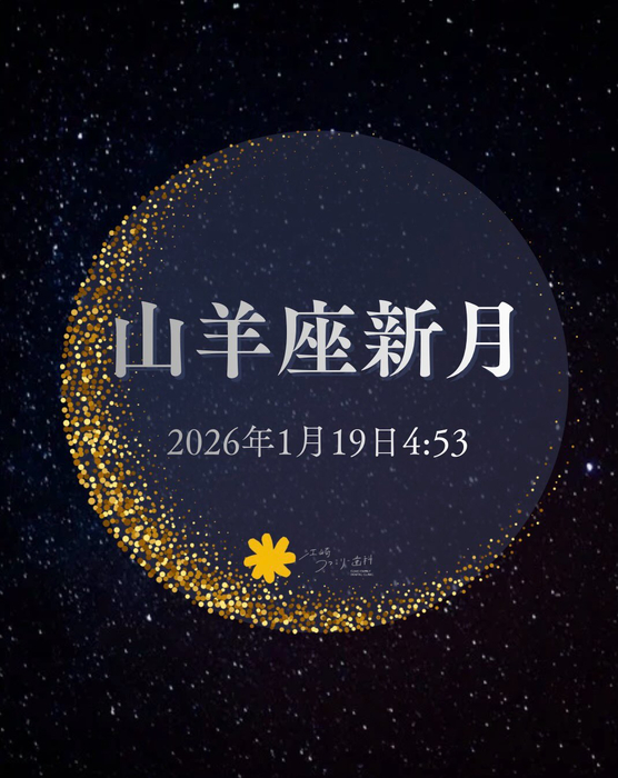 画像337