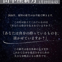 画像338