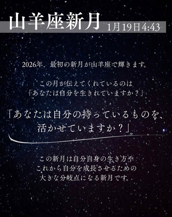 画像338
