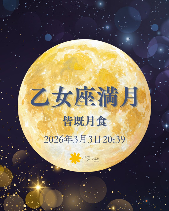 画像403