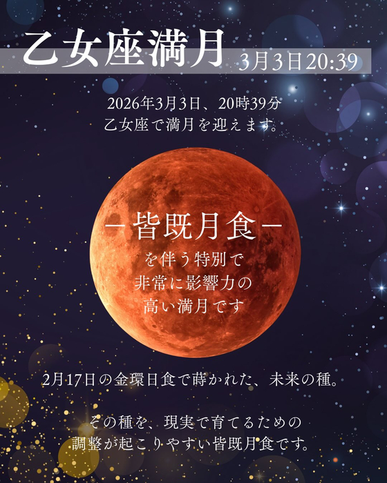 画像404