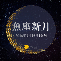 画像416