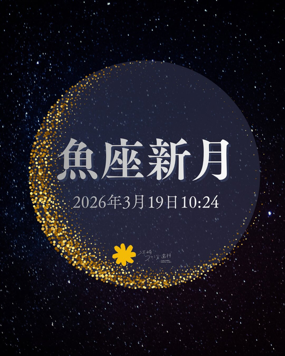 画像416