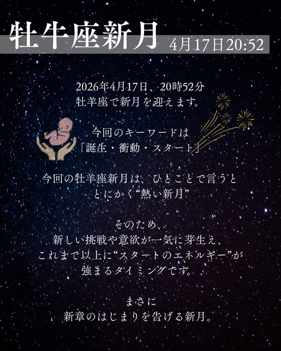 画像445