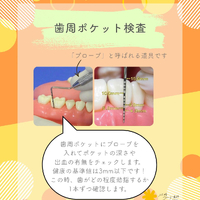 画像477