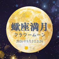 画像480