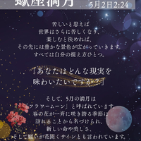 画像483