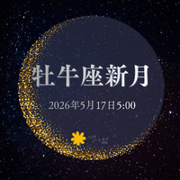 画像494