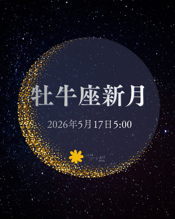 画像494