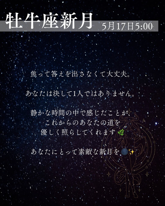 画像498