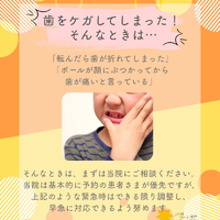 画像517
