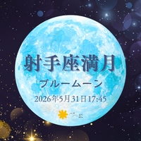 画像537