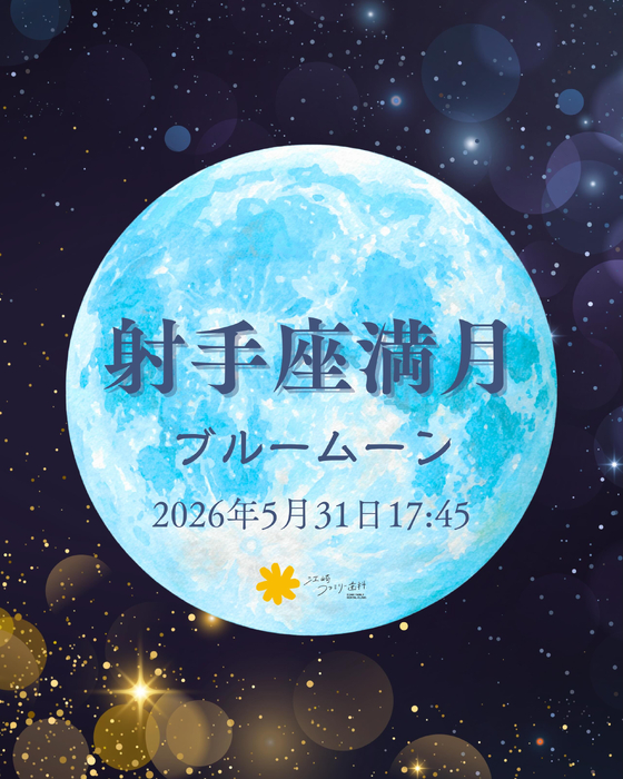 画像537