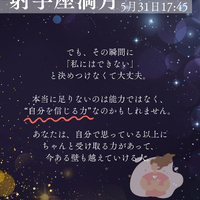 画像549