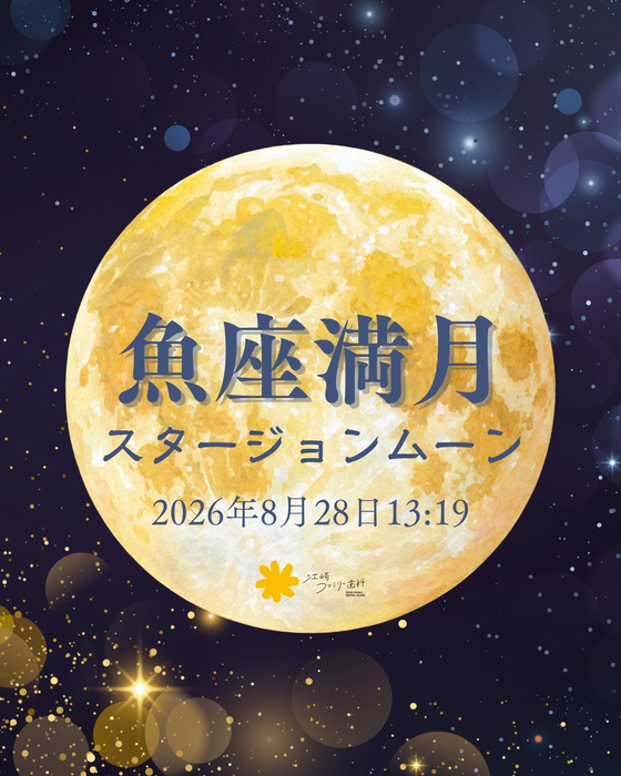 画像691