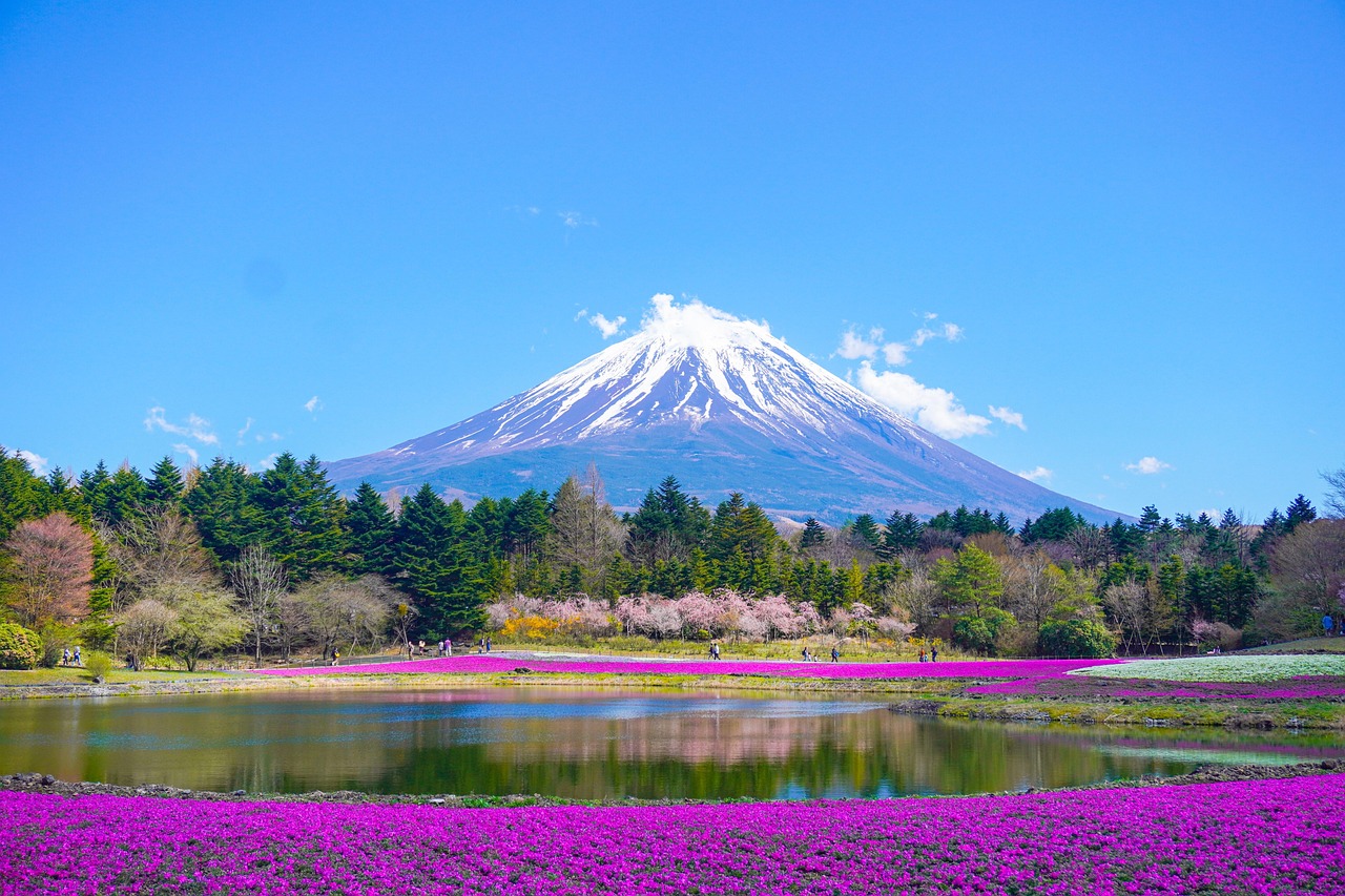 新年を迎えるこの時期に、口腔ケアを見直しましょう！
